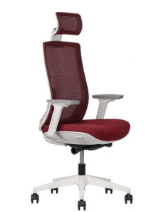 Polar Alto 